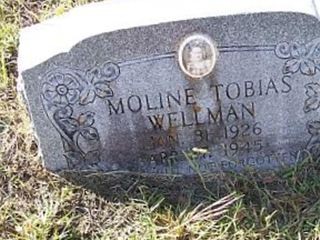 Moline Tobias Wellman on Sysoon