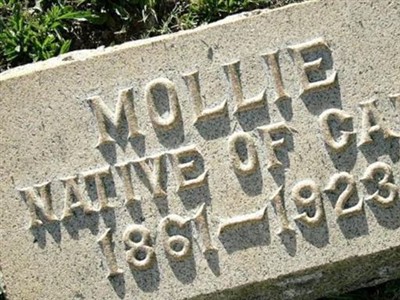 Mollie Carpenter on Sysoon