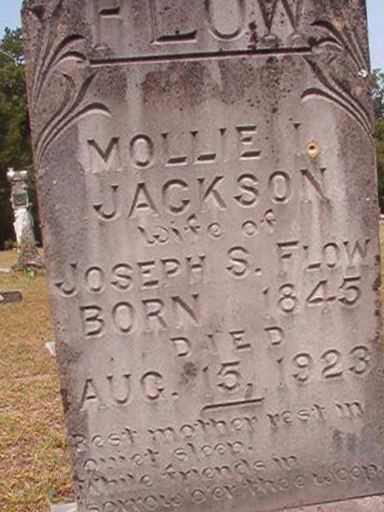 Mollie Jackson Flow on Sysoon