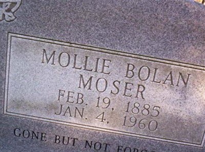 Mollie Moser Bolan on Sysoon