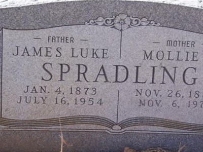 Mollie O. Hamil Spradling on Sysoon