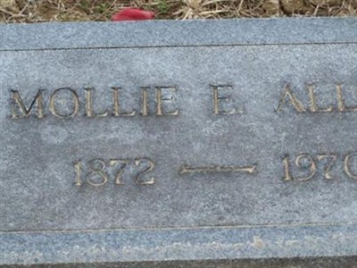 Mollie Padgett Allen on Sysoon