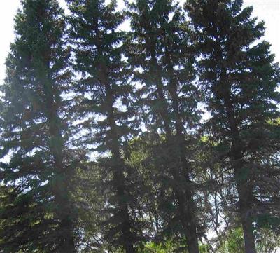 Moorhead Memorial Gardens Cemetery on Sysoon