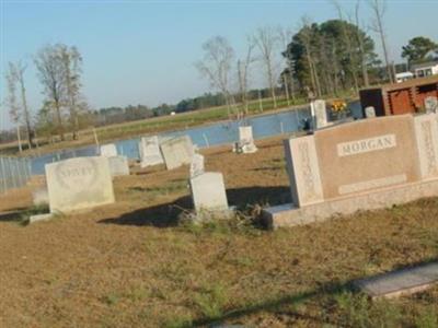 Morgan Cemetery on Sysoon