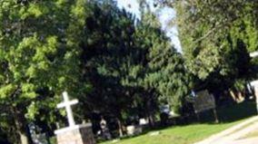 Mount Carmel Cemetery on Sysoon