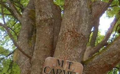 Mount Carmel Cemetery on Sysoon