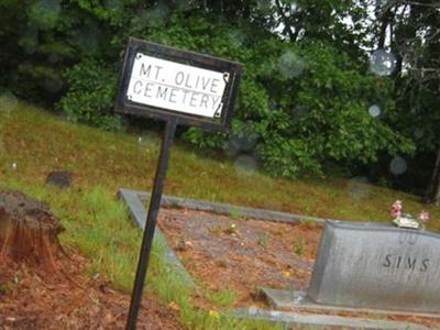 Mount Olive Cemetery on Sysoon