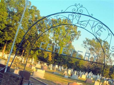 Mount Olive Cemetery on Sysoon