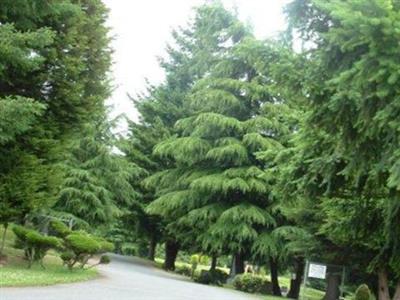 Mount Olivet Cemetery on Sysoon