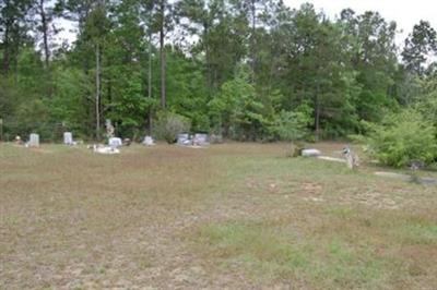 Mount Sinai Cemetery on Sysoon