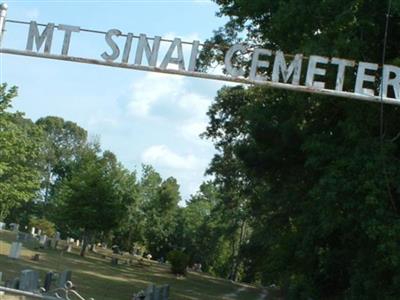 Mount Sinai Cemetery on Sysoon