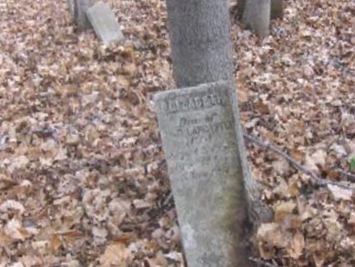 Mount Vernon Cemetery on Sysoon