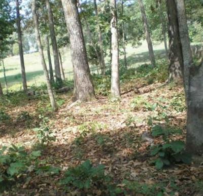 Mount Zion Cemetery on Sysoon