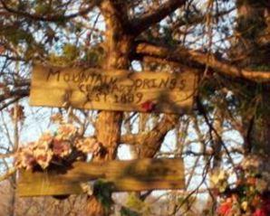 Mountain Springs Cemetery on Sysoon