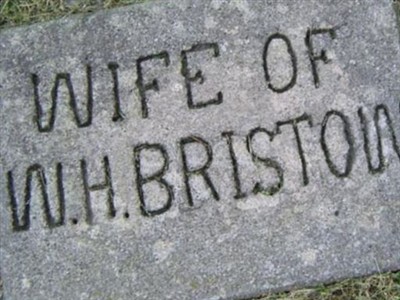 Mrs. W. H. Bristow on Sysoon