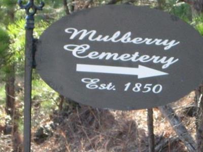 Mulberry Cemetery on Sysoon