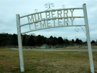 Mulberry Cemetery on Sysoon