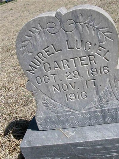 Murel Luciel Carter on Sysoon