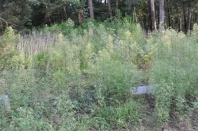 Murray-Jones Family Cemetery on Sysoon