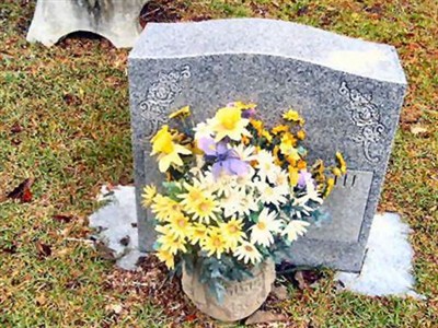 Myrtle Elizabeth Shuler on Sysoon