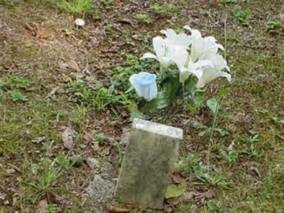 Name Unknown on Sysoon