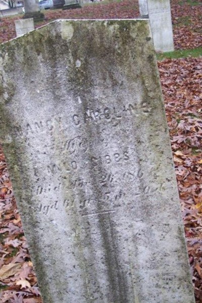 Nancy Caroline Gibbs on Sysoon