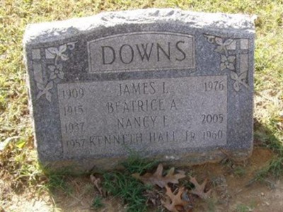 Nancy E Downs on Sysoon