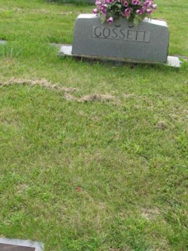 Nancy Ledorah "Dora" Weeks Gossett on Sysoon