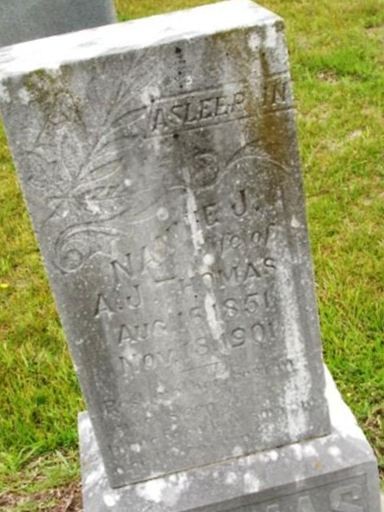 Nancy J. "Nannie" Cox Thomas on Sysoon
