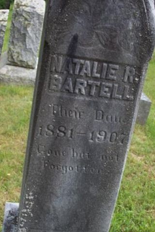 Natalie R Bartell on Sysoon