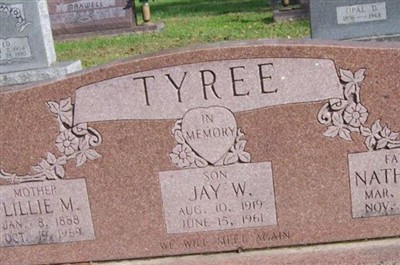 Nathan W. Tyree on Sysoon