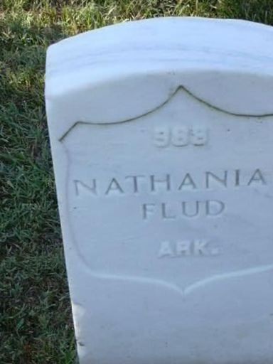 Nathanial Flud on Sysoon