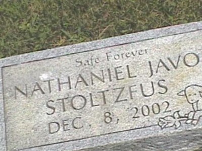 Nathaniel Javon Stoltzfus on Sysoon