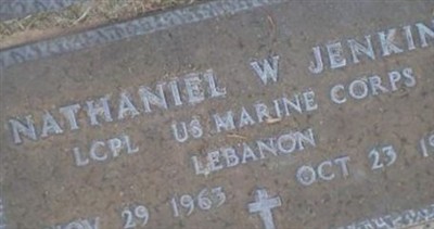 Nathaniel W. Jenkins on Sysoon