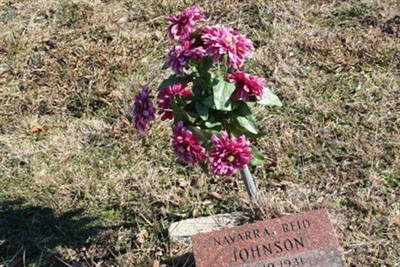 Navarra Reid Johnson on Sysoon