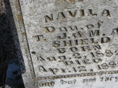 Navila Shield on Sysoon