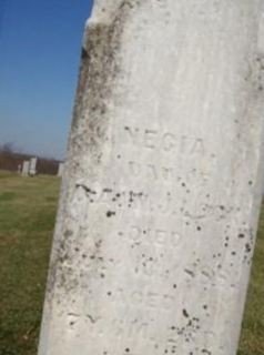 Necia M. Lock on Sysoon