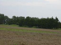 Neelands Cemetery on Sysoon