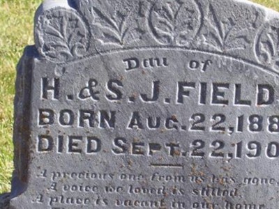 Nellie Elizabeth Fields on Sysoon