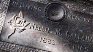 Nellie May Standbridge Callahan on Sysoon