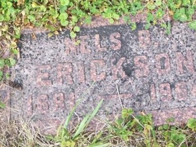 Nels B Erickson on Sysoon