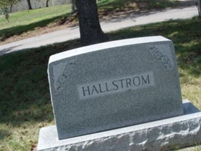 Nels Hallstrom on Sysoon