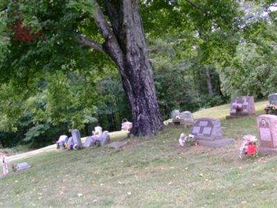 Nelson Cemetery on Sysoon