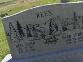 Neta E Child Rees on Sysoon