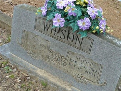 Netinah Rankin Wilson on Sysoon