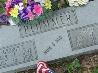 Nettie A. Plummer on Sysoon