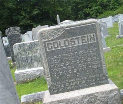 Nettie Goldstein on Sysoon