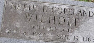 Nettie Hannah Copeland Wilhoit on Sysoon