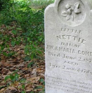 Nettie "Little Nettie" Combs on Sysoon