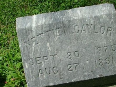 Nettie M. Caylor on Sysoon